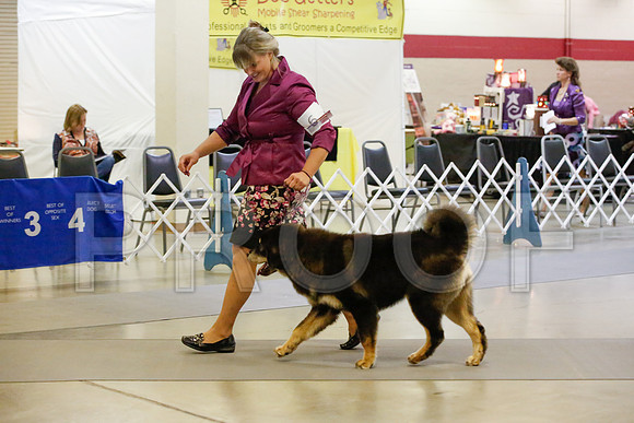 _JJ_9728-AmarilloSept2014-HR3