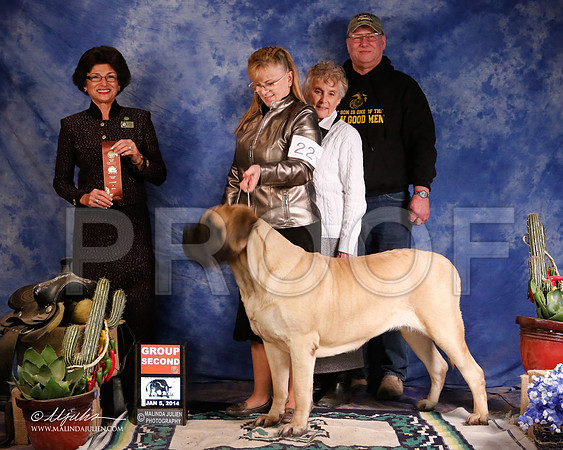 Mastiff-5518-GRJan14-HR
