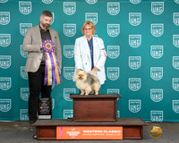 Brenda  O’Sullivan UKC Longview WA 2024
