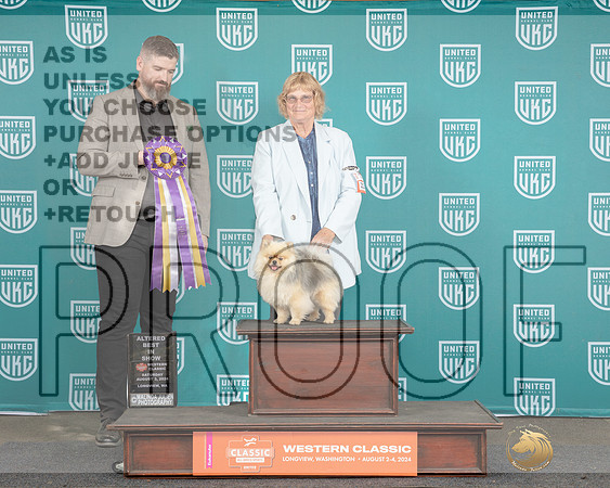 Pomeranian #213 Sat AltBIS TD Judge Matt Proctor_JP_1589e_UKCLongviewWA_2024-HR3