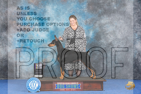 Doberman #46 Wed BISS Judge N Liebes__JP_7417_Houston_2024_HR3