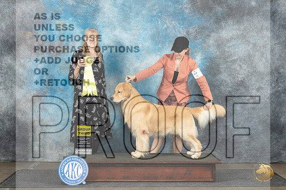 Golden Retriever #9 Sun G3 Judge Nancy Simmons__JP_4160_Lubbock_2024_HR3