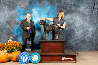 Pumi #28 Sun WB Judge Del Richards