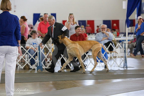 _JJ_1641-DallasJul2014-HR3