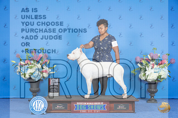 Dogo Argentino #5 SAT BOS M Judge Annella Cooper__JP_0023_Houston_2024_HR3