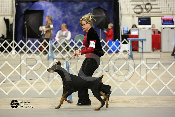 dobe-4888-MidFeb14-HR