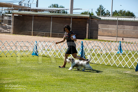 _JN_6882-AlamogordoOct2014-HR3