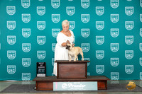 French Bulldog #829 Sat BOB Judge Stephanie Mueller