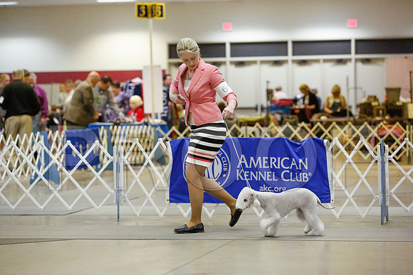 _JN_5953-AmarilloSept2014-HR3