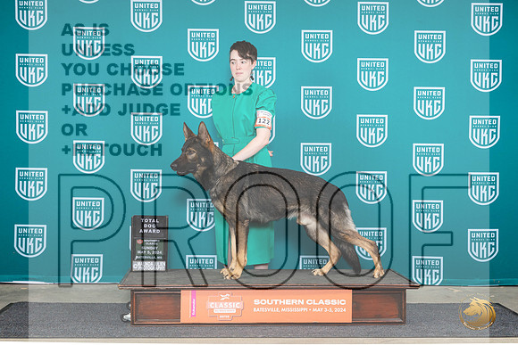German Shepherd Dog #122 Sun TD__JP_6614_BatesvilleMS_2024_HR3