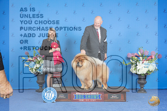 Chow Chow #5 FRI G2 Judge Angela Pickett__JP_9551_Houston_2024_HR3