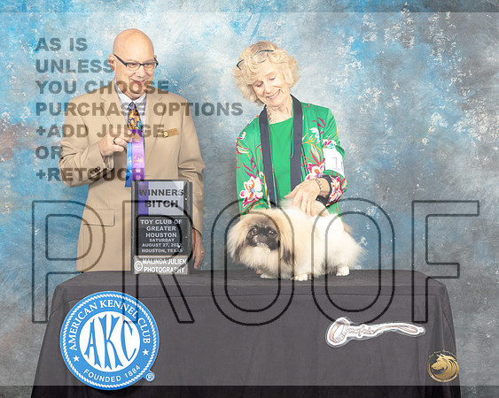 Pekingese #10 Sat WB Judge Bradley Jenkins-_MJ_0152HstnToy2022-HR3