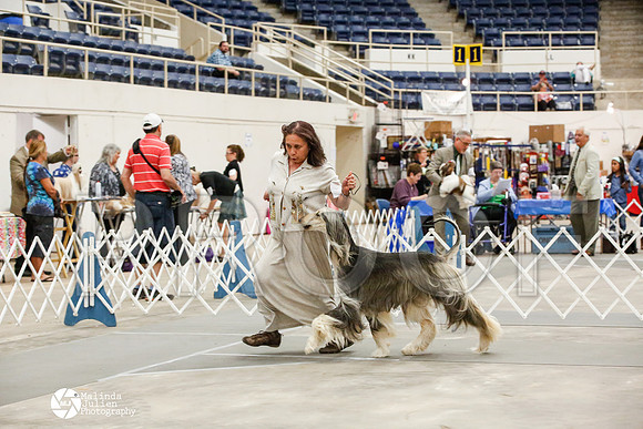 _JJ_0005-AblnMay2014-web