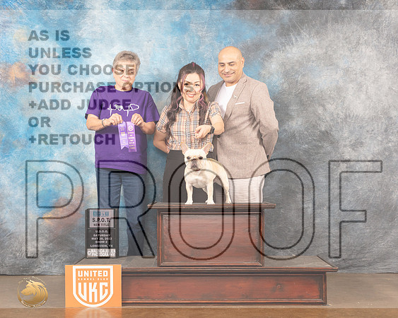 French Bulldog #122 SPOT Judge Nancy AndersonMMJ_5651_Lngvw2022HR3