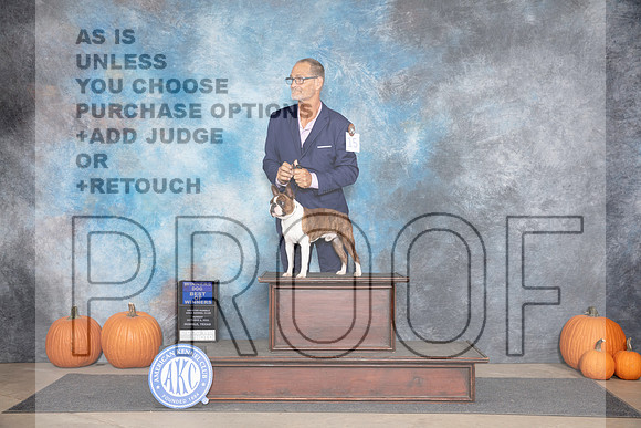 Boston Terrier #15 Sun WDBOW Judge Ray Filburn__JP_9204_Humble_2024_HR3