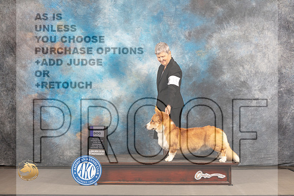 Cardigan Welsh Corgi #15 WED WD Judge Barbara Alderman_MJ_2075_Houston_2022_HR3