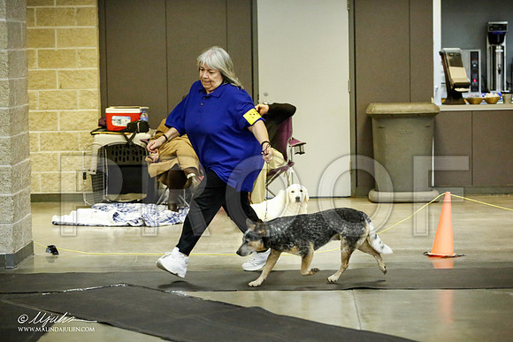 _JJ_6062-BeltonJan2015IABCA-HR3