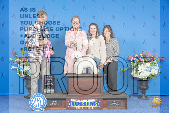 Bichon Frise #16 THUR OHG1 Judge Wood Wornall__JP_8466_Houston_2024_HR3