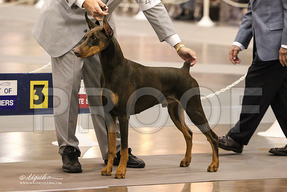 Dobe-8907 PROOF