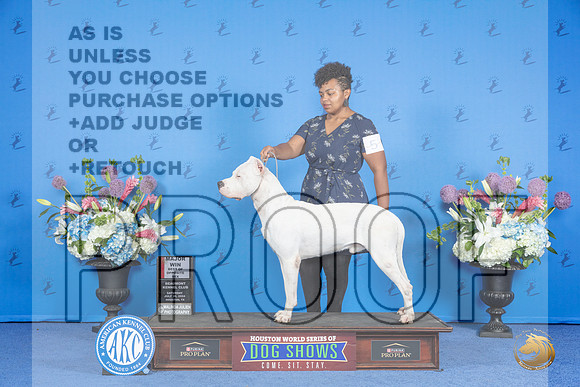 Dogo Argentino #5 SAT BOS M Judge Annella Cooper__JP_0022_Houston_2024_HR3