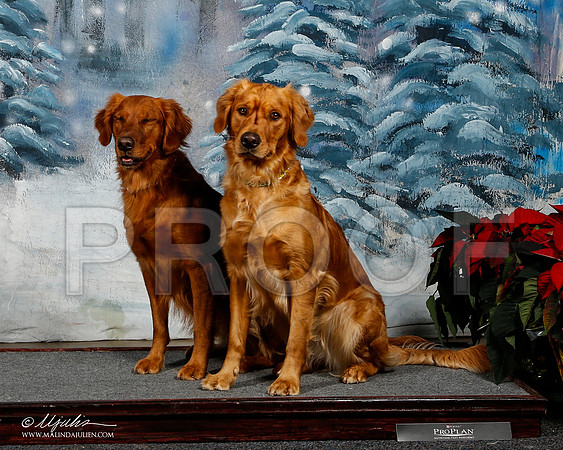 _ST_8426-2-DallasDec2014-HR3