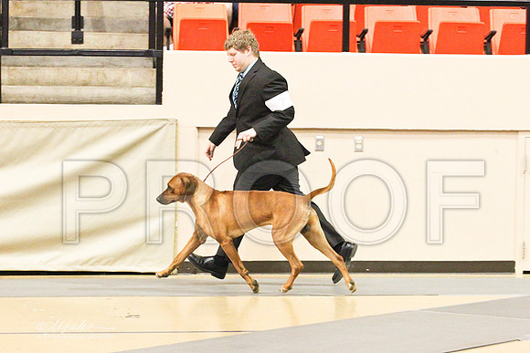 Ridgeback-9216LR