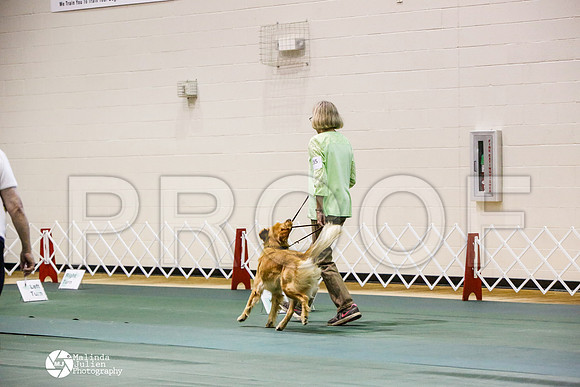 _JJ_3922-BsrCtyJun2014-HR3