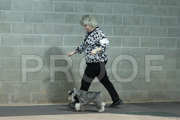 MiniSchCCL_1817LR