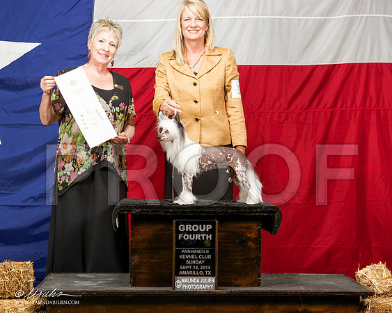 _ST_2043-AmarilloSep2014-HR3