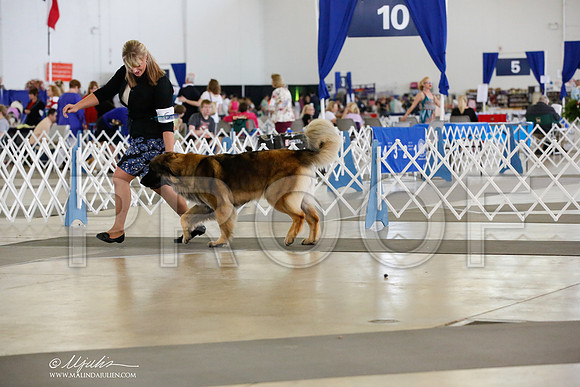 _JN_3471-DallasJul2014-HR3
