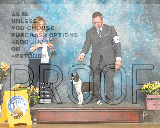 Boston Terrier #21 Sat G4 Judge Grace Fritz-MMJ_0871-NWARK2022-HR3