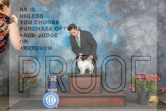 Papillion #20 SG1 Judge Claire Wisch Abraham__JP_4247_San Antonio_2024_HR3