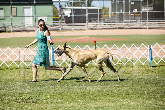 _JN_0802-AlamogordoOct2014-HR3
