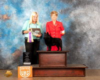 Schipperkee #201 Sun2 ABIS Judge Kathy Short