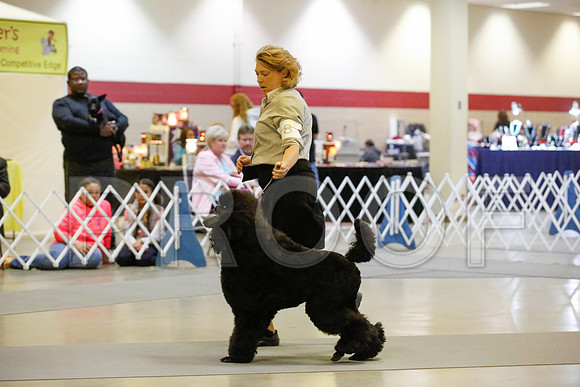 _JN_8023-AmarilloSept2014-HR3