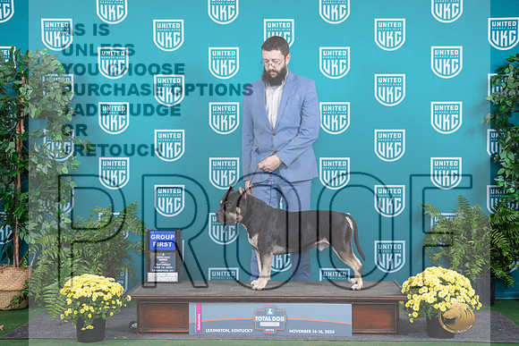 American Bully #134 Sat G1__JP_2756_UKCTDI2024_HR3