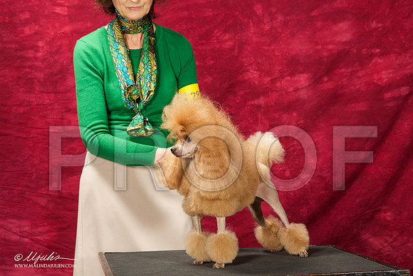_ST_2810-BeltonJan2015IABCA-HR3