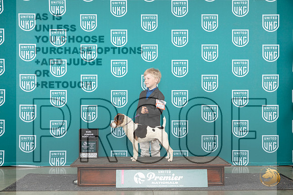 Parson Russel Terrier #2000 Sat PJr1 Judge Stan Matsumoto__JP_1964_Premier_2024_HR3