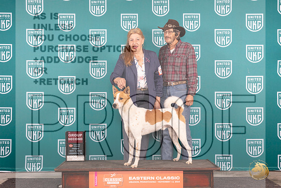 Canaann Dog #115 Fri G2 Judge Kathy Russell __JP_1974_UKCEastern_2024_HR3