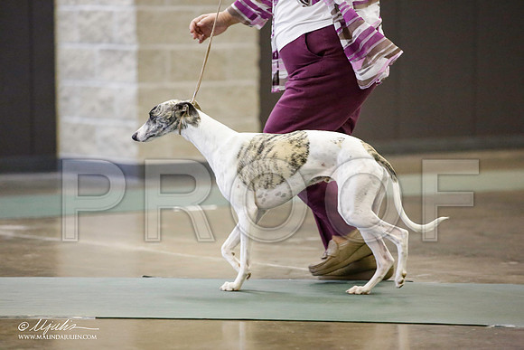 _JN_5278-BeltonJan2015-HR3