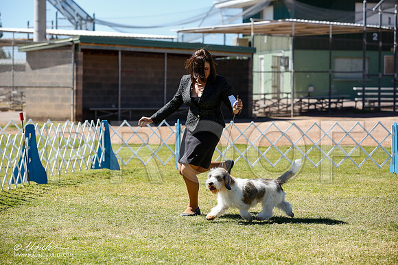 _JN_5172-AlamogordoOct2014-HR3