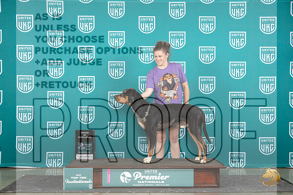 LCLD #624 Thur AOE Judge Stephanie Mueller__JP_1310_Premier_2024_HR3