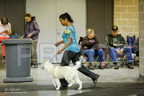 _RH_1774-BeltonJan2015IABCA-HR3