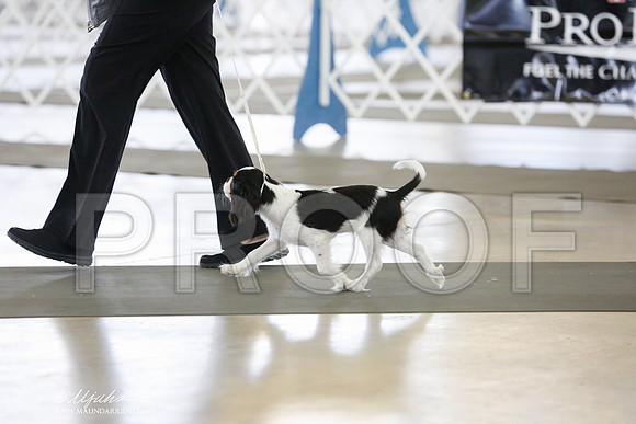 _RH_0588-DallasJul2014-HR3