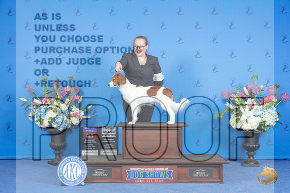 Nerderlandse Kooikerhondje #6 SUN BOB BOBOH NGC Judge Sandra Lex__JP_0769_Houston_2024_HR3