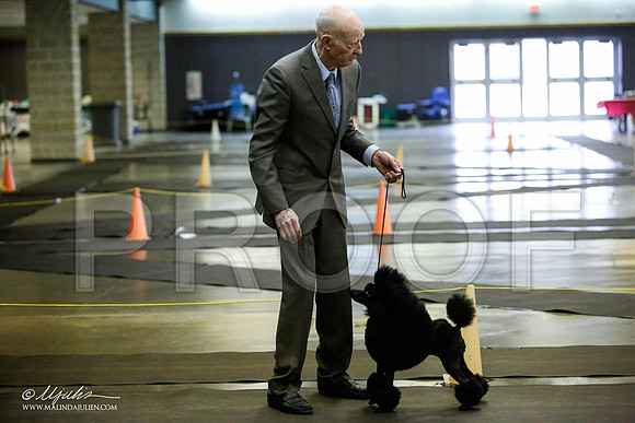 _JJ_5887-BeltonJan2015IABCA-HR3