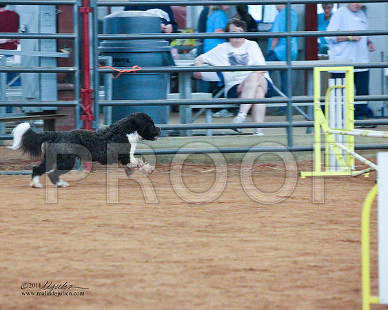 JWW Nov 16-3994-LR
