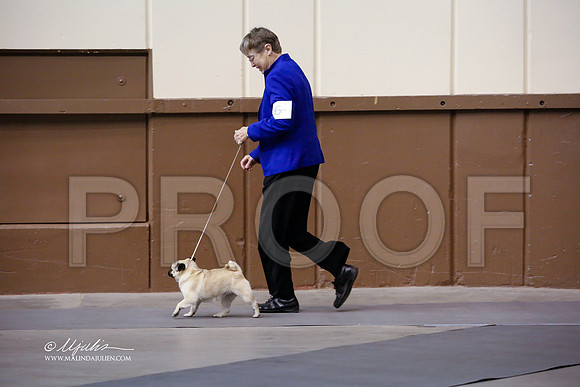 pug-2832-SANov13-HR