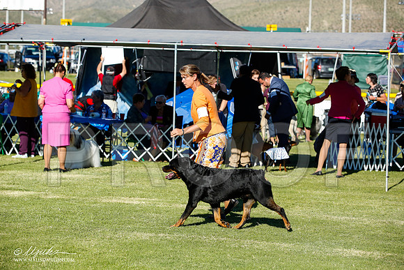 _JN_7695-AlamogordoOct2014-HR3