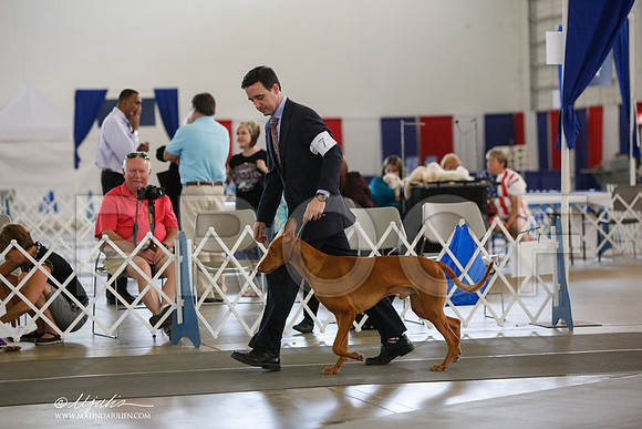 _JJ_2731-DallasJul2014-HR3